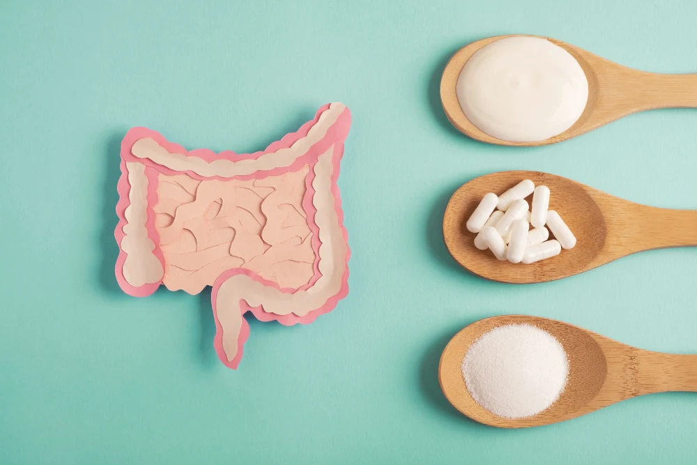 Guide to Registering Probiotic Health Supplements in Indonesia 2