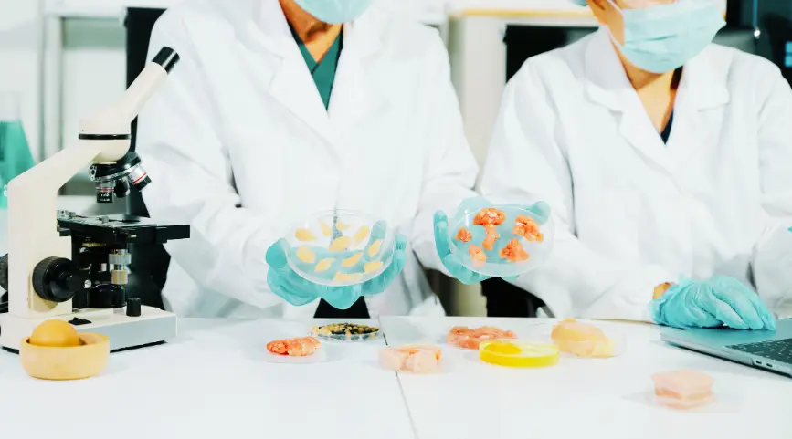 Food Testing Laboratory for BPOM Registration in Indonesia 