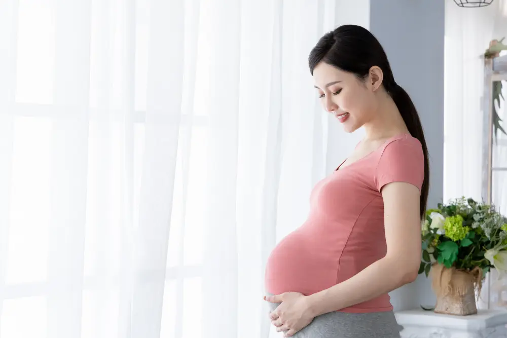 Pregnancy Supplement Indonesia: BPOM Registration Guide